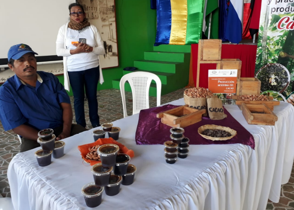 Realizarán Certamen Cacao de la Excelencia Managua. Radio La Primerísima