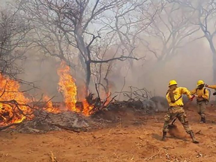 Aumentan incendios forestales en Bolivia La Paz. Prensa Latina