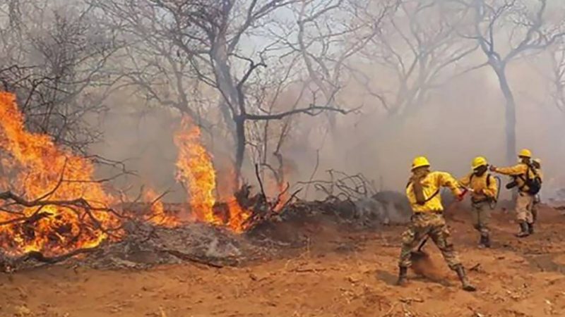 Aumentan incendios forestales en Bolivia La Paz. Prensa Latina