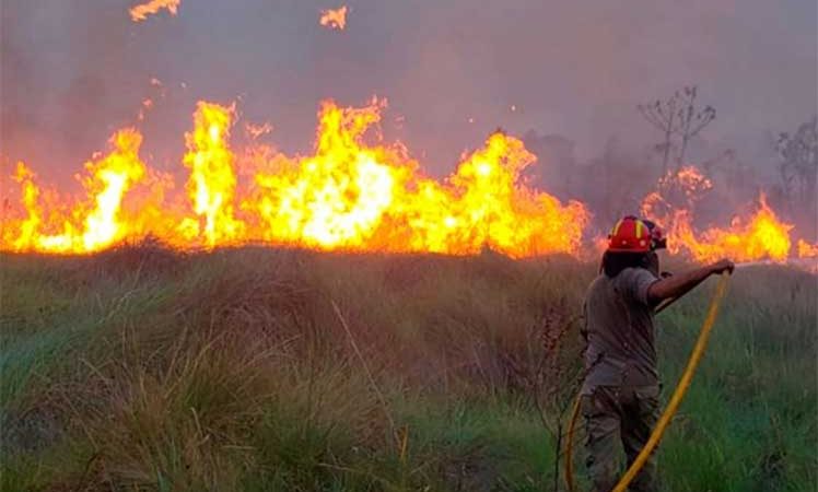 Persisten unos 10 mil incendios en bosques y campiñas de Paraguay Asunción. Prensa Latina