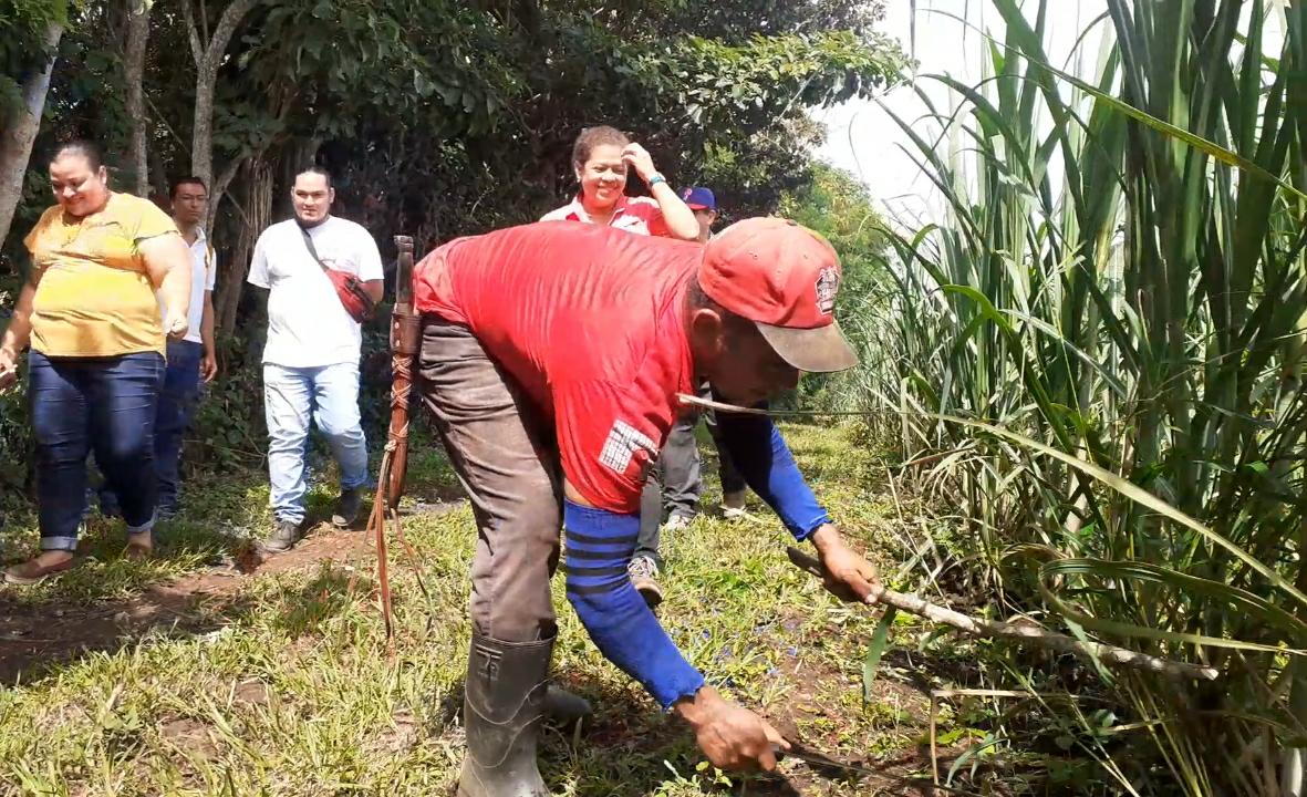 Excelente resultado de producción de postrera en municipio Santa Teresa Managua. Por Manuel Aguilar/ Radio La Primerísima