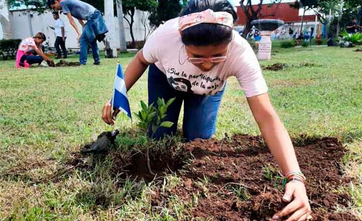 Jóvenes realizan jornada de reforestación en homenaje a Che Guevara Managua. Radio La Primerísima