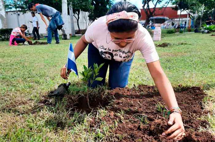 Jóvenes realizan jornada de reforestación en homenaje a Che Guevara Managua. Radio La Primerísima