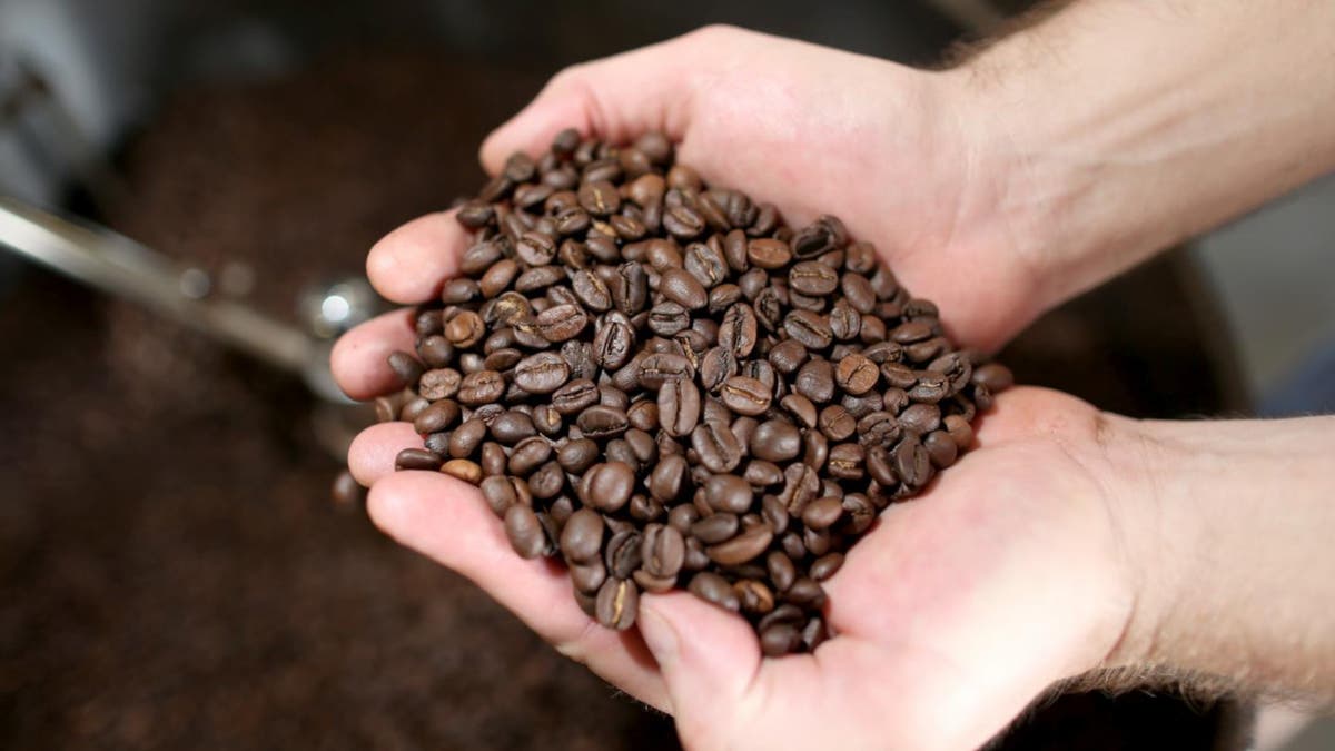 El Salvador reporta disminución de exportaciones de café Agencia