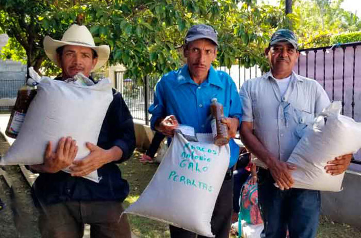 Bonos tecnológicos estarán acompañados de herramientas y fertilizantes Managua. Radio La Primerísima
