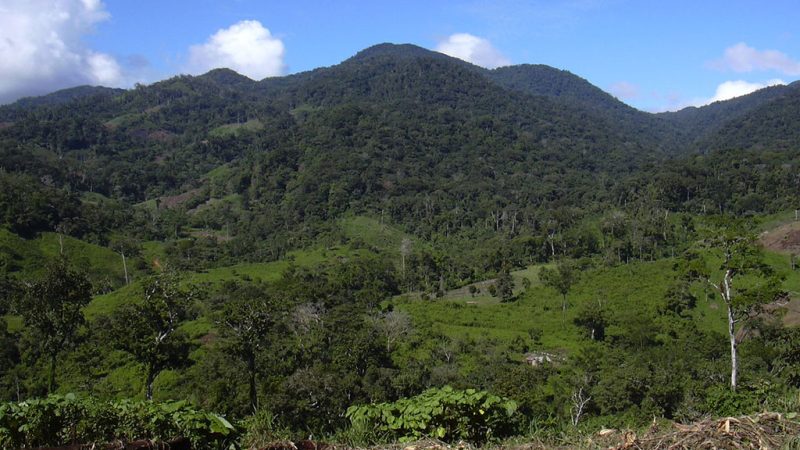 Fondo Verde aprueba fondos para proteger bosques Managua. Radio La Primerísima