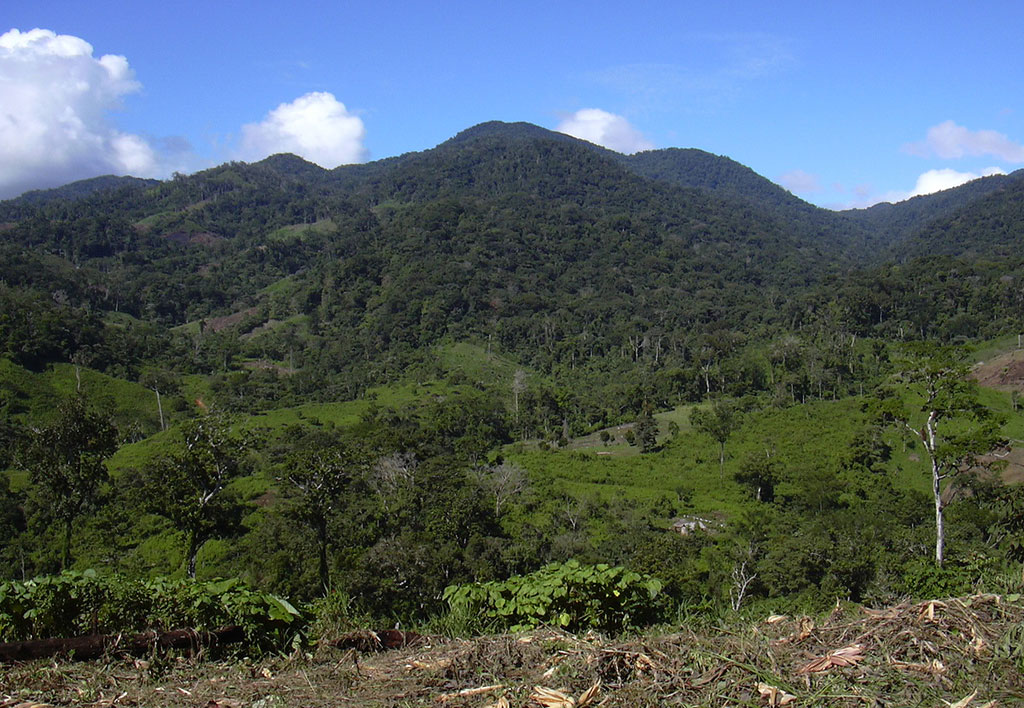 Fondo Verde aprueba fondos para proteger bosques Managua. Radio La Primerísima