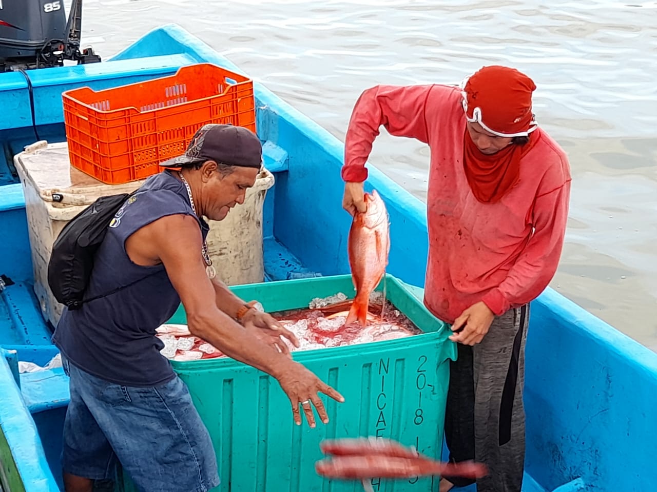 Activan venta de mariscos en Bilwi Managua. Por Danielka Ruíz/Radio La Primerísima