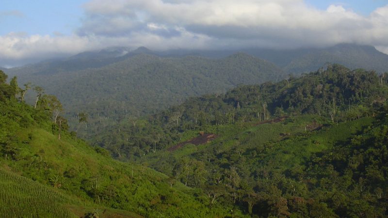 Nicaragua recibirá fondos para áreas protegidas Managua. Por Jaime Mejía/Radio La Primerísima