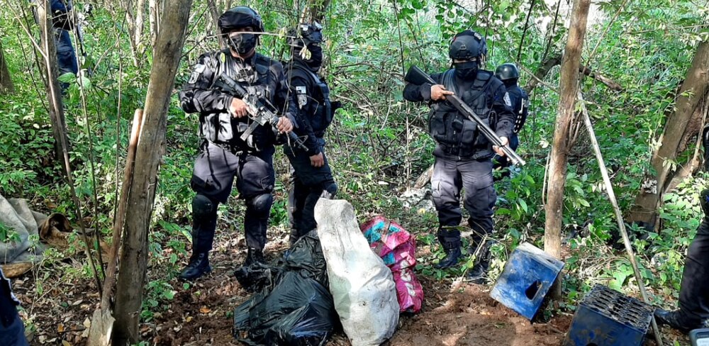 Decomisan drogas y municiones en Panamá Panamá. Prensa Latina