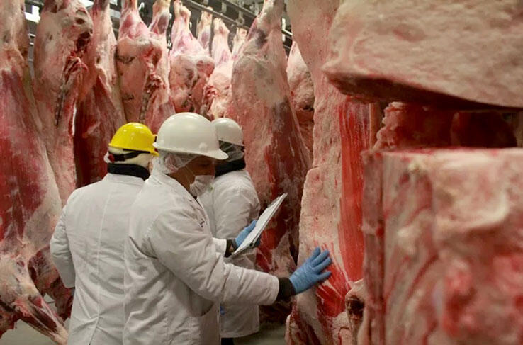 Aumenta exportación de carne y lácteos en los primeros meses del año Managua. Lisbeth González/ La Primerísima  