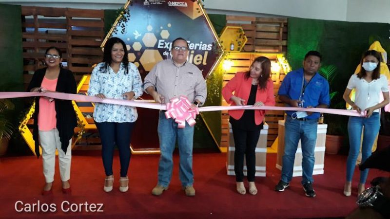 Promueven innovación y producción  apícola Managua. Radio La Primerísima