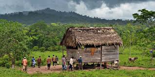 Indígenas abandonan tierras ante hostigamiento de delincuentes Managua. Radio La Primerísima