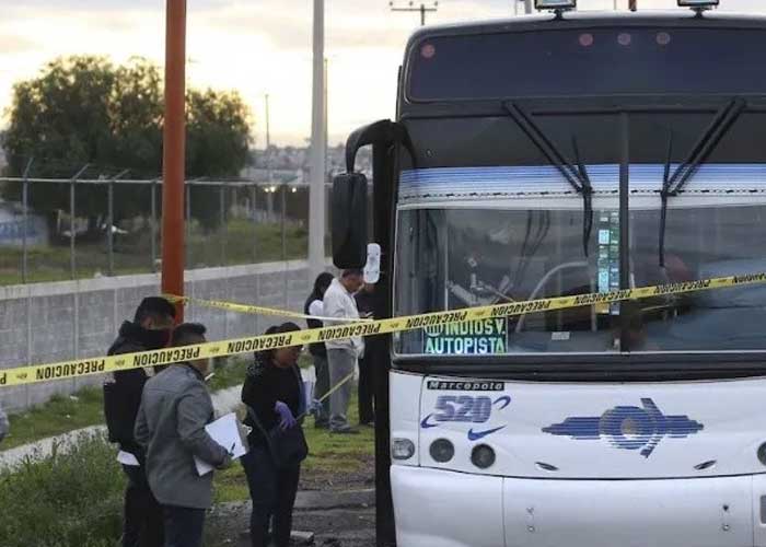 Pasajeros de autobús matan a golpe a ladrón en México RT