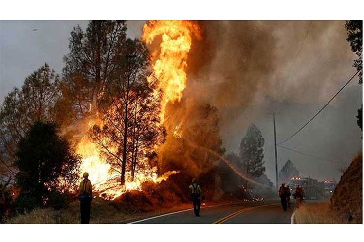 Incendio forestal en Chile arrasa más de dos mil hectáreas Santiago de Chile. Prensa Latina