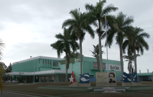 Cuba producirá 100 millones de vacunas contra Covid-19 Telesur