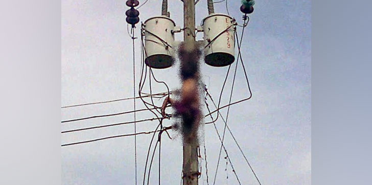 Leonés muere al caer de un poste de tendido eléctrico Managua. Radio La Primerísima