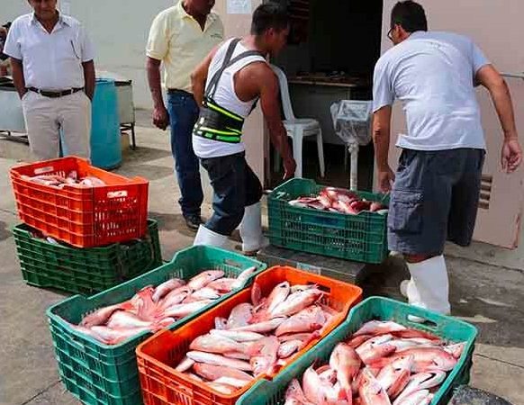 Aumenta producción de pescado en Chinandega Managua. Radio La Primerísima