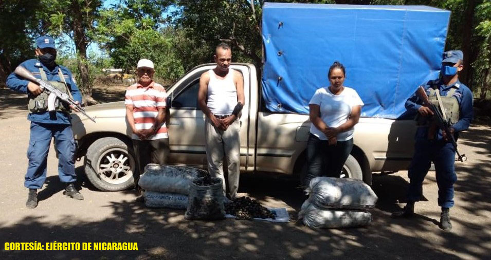 Retienen a traficantes de conchas negras en Chinandega Managua. Radio La Primerísima