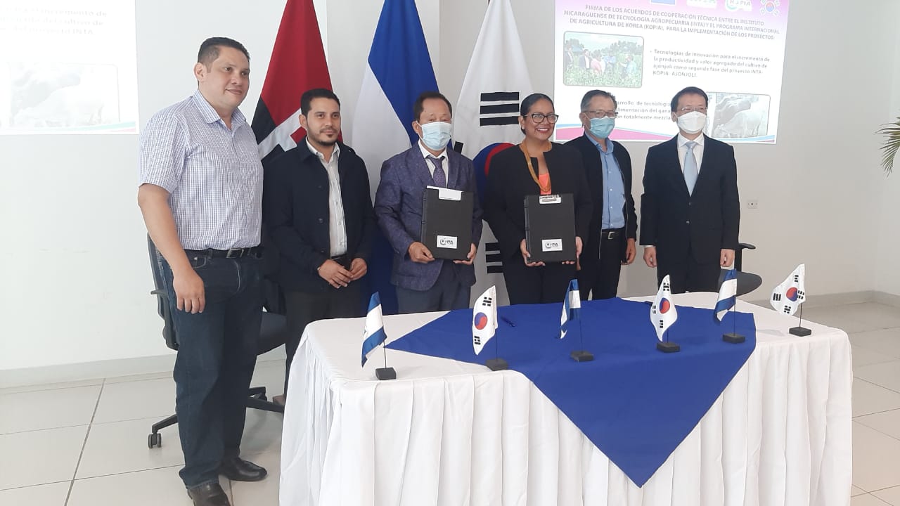 Corea del Sur apoyará mejoramiento del cultivo de ajonjolí Managua. Por Douglas Midence/Radio La Primerísima