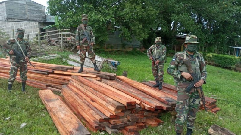 Ocupan más de 5 mil pies de madera ilegal en Costa Caribe Managua. Radio La Primerísima
