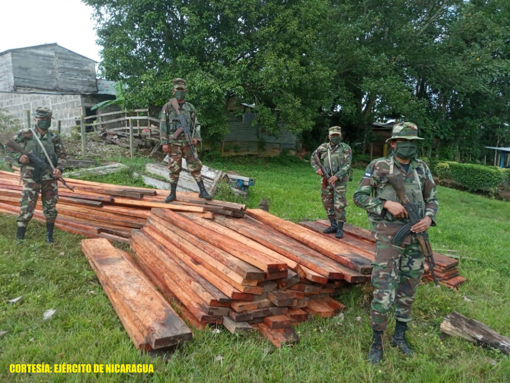 Ocupan más de 5 mil pies de madera ilegal en Costa Caribe Managua. Radio La Primerísima
