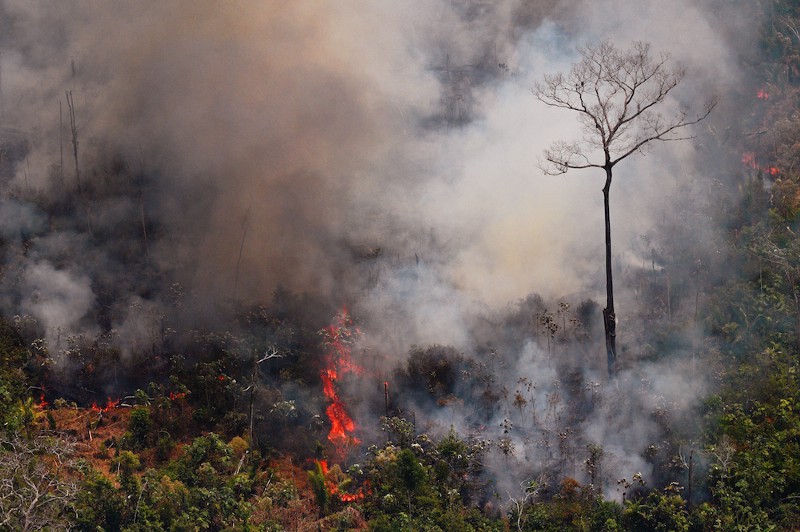 Incendio forestal en volcán de Guatemala avanza sin control Agencia