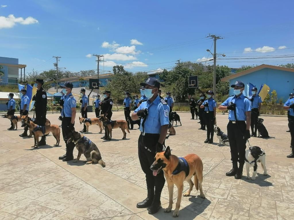 Gradúan a oficiales en técnica canina Managua. Por Jerson Dumas/Radio La Primerísima