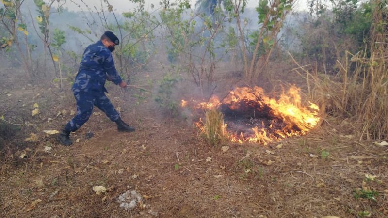 Incendio afectado 250 manzanas de maleza en Mateare Managua. Radio La Primerísima 