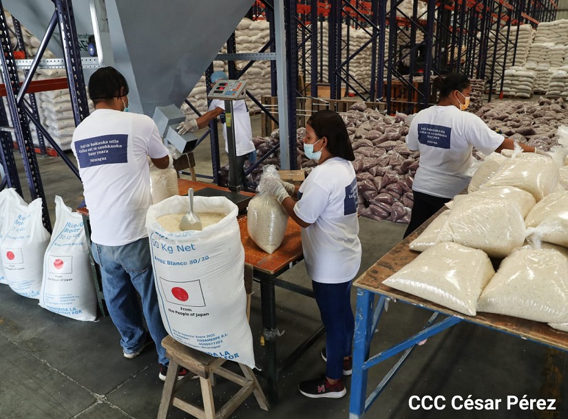 Alimentos enviados a zonas caribeñas empacados bajo medidas de bioseguridad Managua. Radio La Primerísima