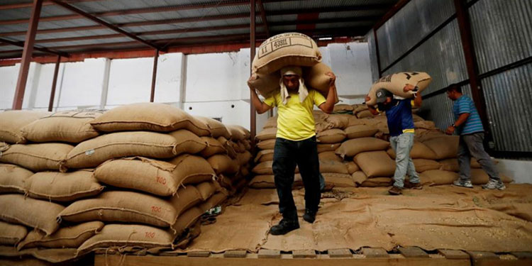 Prevén mejores precios del café en mercado internacional Tegucigalpa. La Tribuna