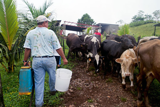 Capacitan a ganaderos en Siuna Siuna. Radio Uraccan Siuna