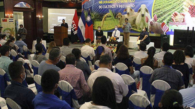 Abordan tema de mejoramiento genético para cultivos y animales Managua. Radio La Primerísima
