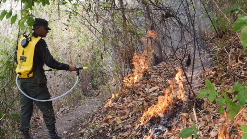 Sofocan incendios forestales en distintas zonas del país Managua. Radio La Primerísima