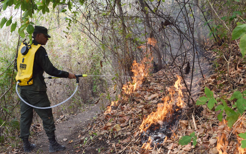 Sofocan incendios forestales en distintas zonas del país Managua. Radio La Primerísima