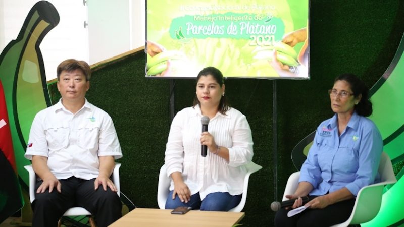 Convocan a concurso a productores de plátanos Managua. Radio La Primerísima
