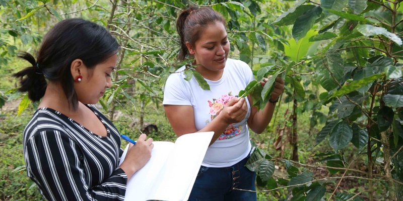 Casi 170 mil han recibido estudios técnicos en el campo Managua. Radio La Primerísima