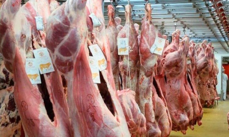 Grandes expectativas con producción de carne y leche Managua. Radio La Primerísima