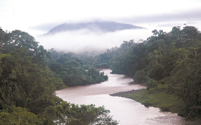 BCIE aprueba fondos para proteger reservas naturales Managua. Radio La Primerísima