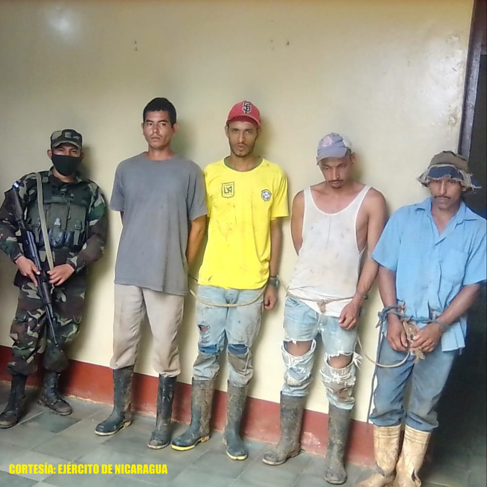 Ejército recupera 152 semovientes en el Caribe Sur Managua. Radio La Primerísima 