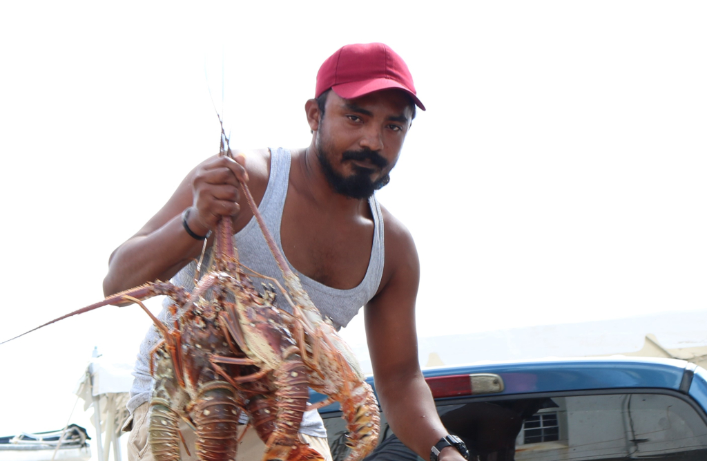 Inicia temporada de pesca de langosta en El Caribe Managua. Radio La Primerísima