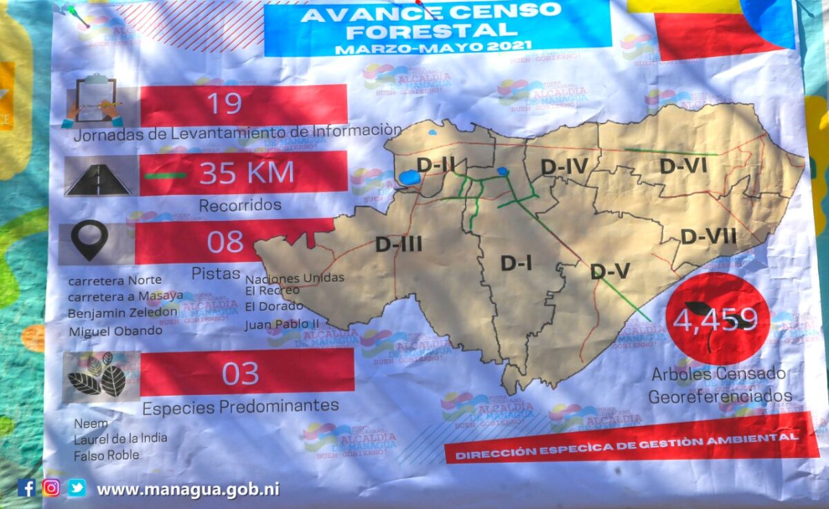 Avanza Censo Forestal de principales vías de la capital Managua. Radio La Primerísima