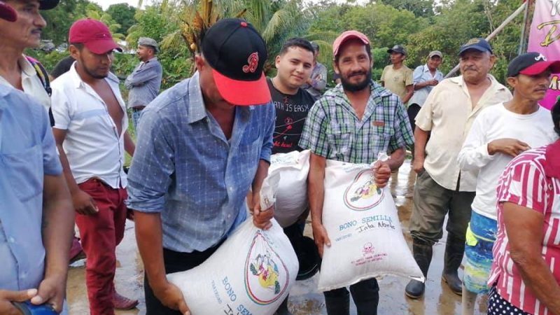 Entregarán miles de bonos de semillas en todo el país Managua. Radio La Primerísima 
