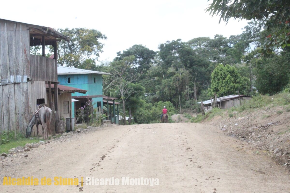 Casi lista la construcción de 7 km de camino productivo en Siuna Managua. Radio La Primerísima
