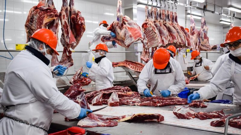 Exportaciones de carne han generado 300 millones de dólares Managua. Informe Pastrán
