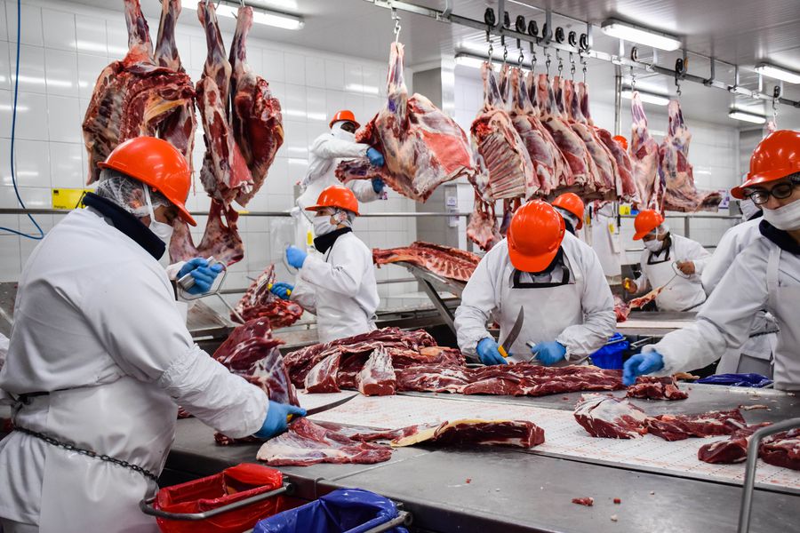 Exportaciones de carne han generado 300 millones de dólares Managua. Informe Pastrán
