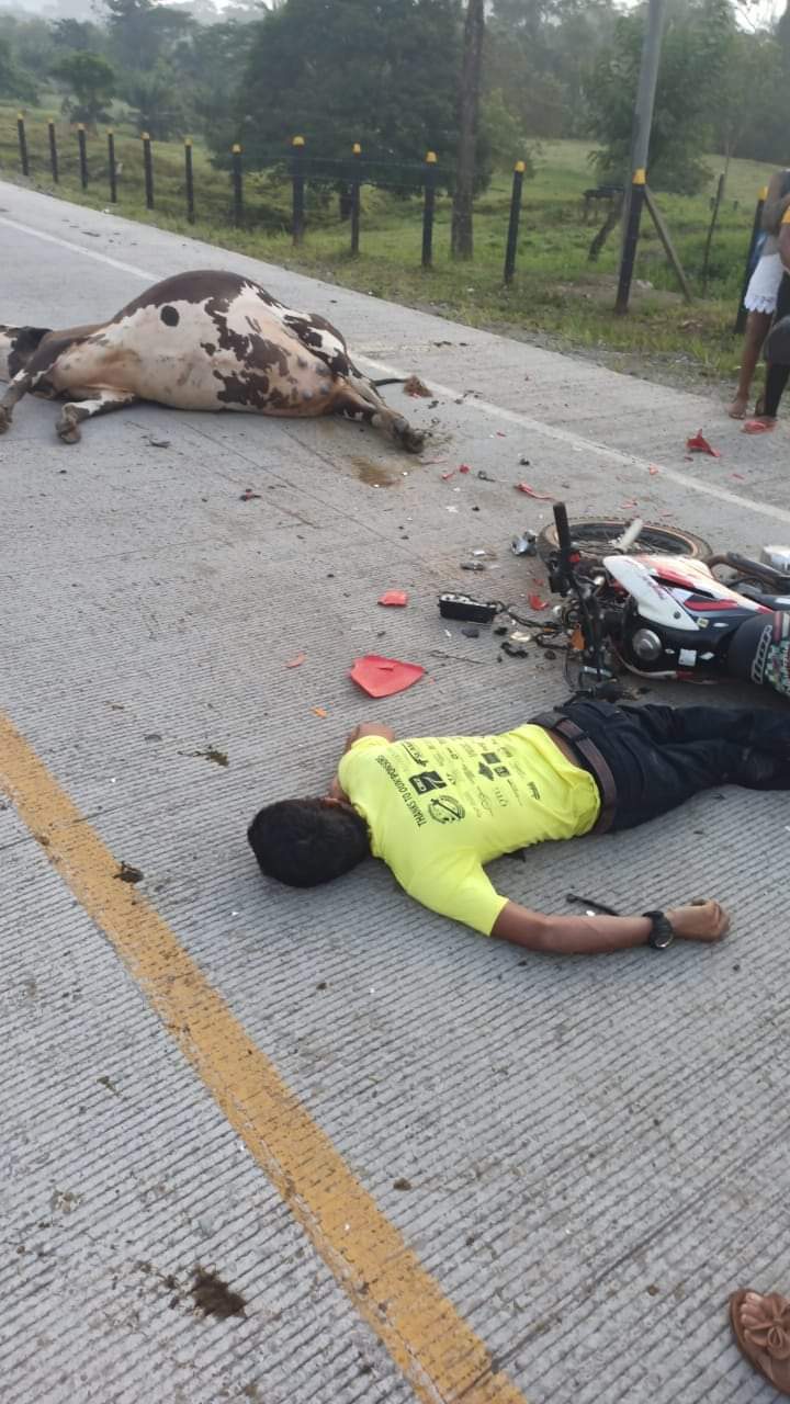 Motorizado muere al impactar contra una vaca Managua. Radio La Primerísima