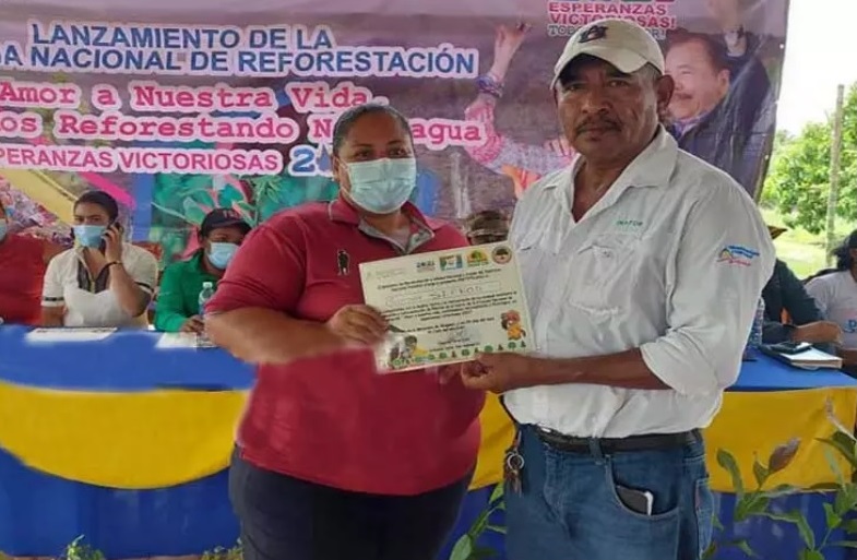 Impulsarán campaña de reforestación en Caribe Norte Managua. Radio La Primerísima
