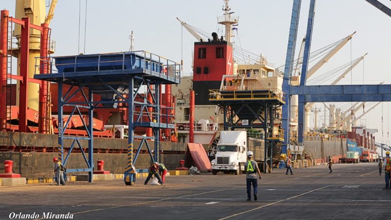 Llegarán 33 mil toneladas de trigo desde Rusia Managua. Radio La Primerísima