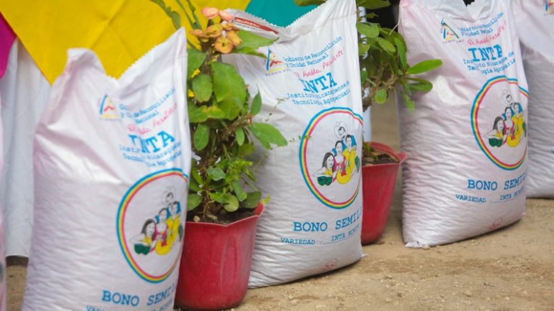 INTA ha entregado casi 100 mil bonos de postrera para frijol Managua. Informe Pastrán/Radio La Primerísima